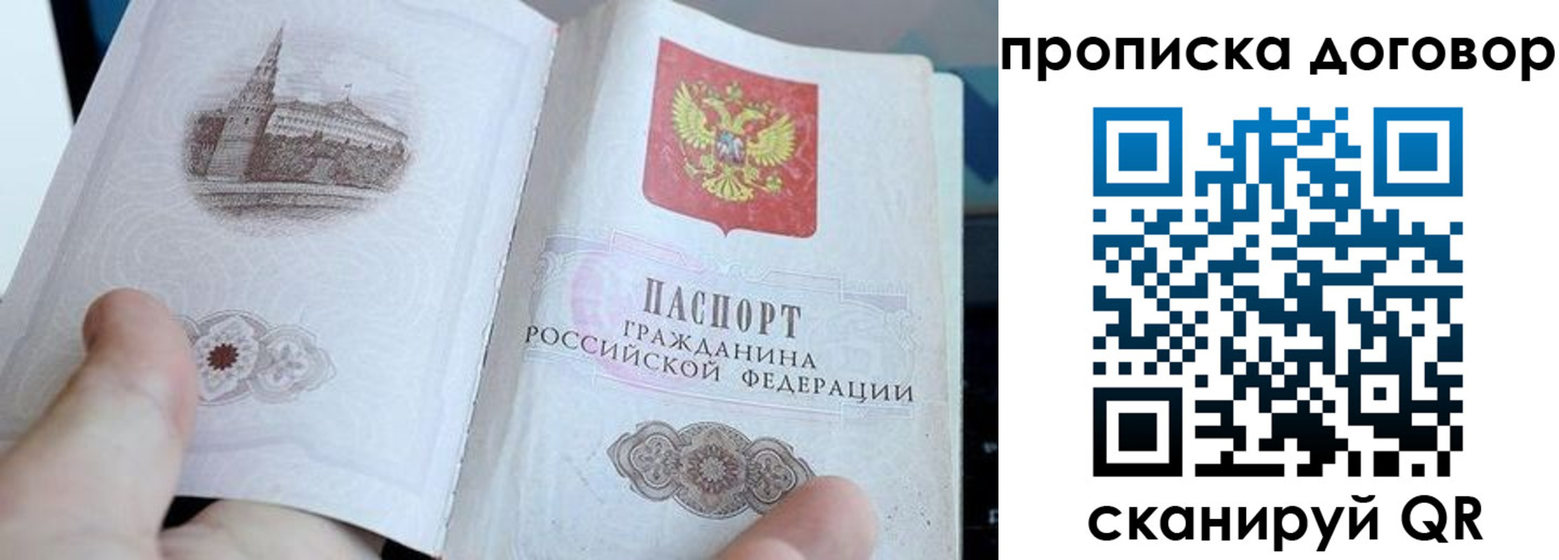 прописка в Судогде