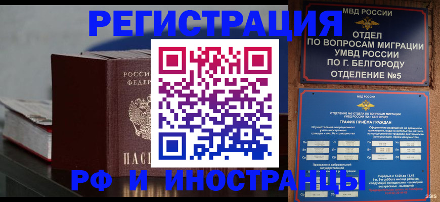 прописка 2025 в Судогде